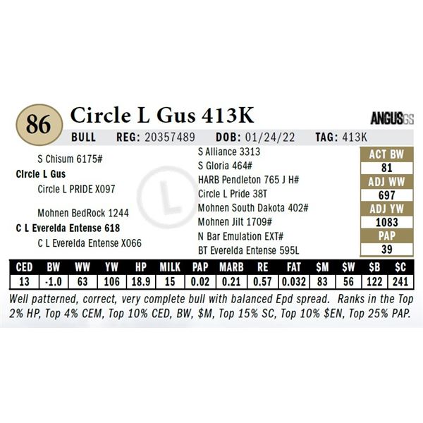 Circle L Gus 413K