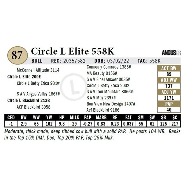 Circle L Elite 558K