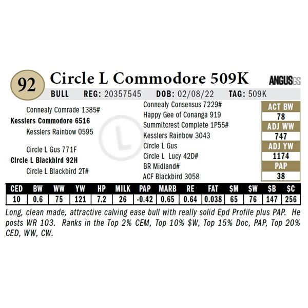 Circle L Commodore 509K