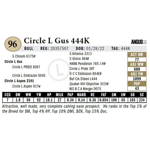 Circle L Gus 444K