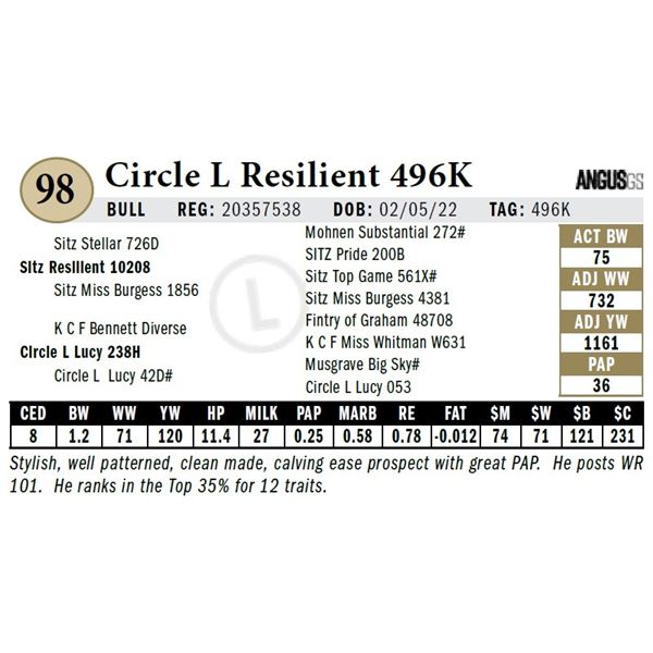 Circle L Resilient 496K