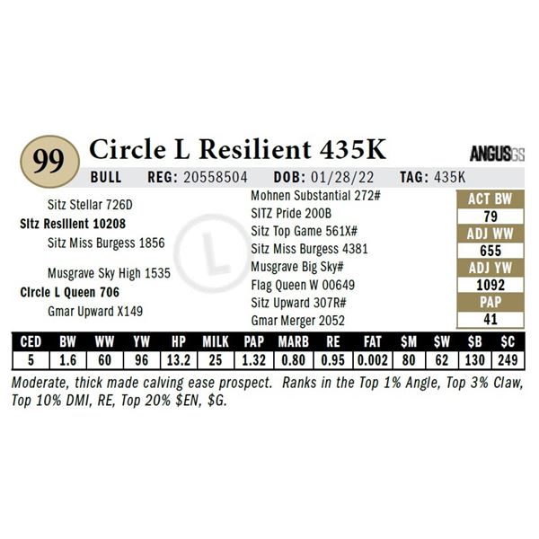 Circle L Resilient 435K