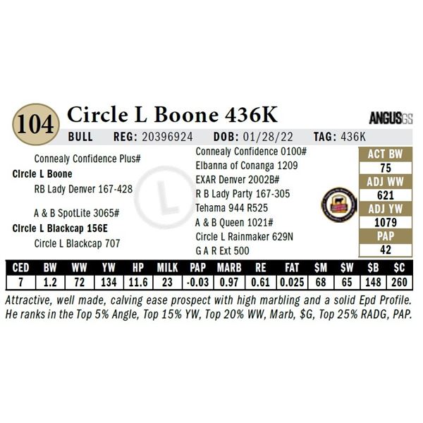 Circle L Boone 436K