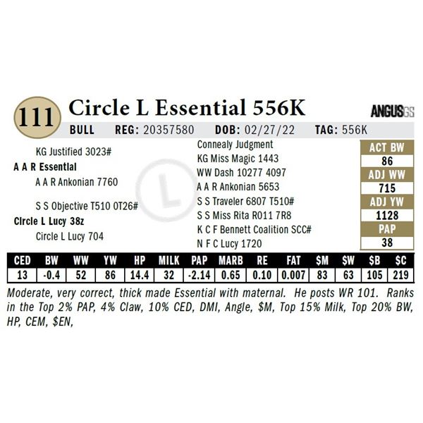 Circle L Essential 556K