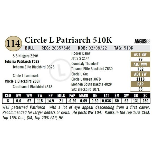 Circle L Patriarch 510K