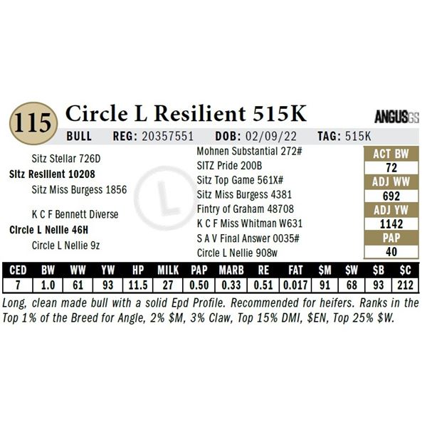 Circle L Resilient 515K
