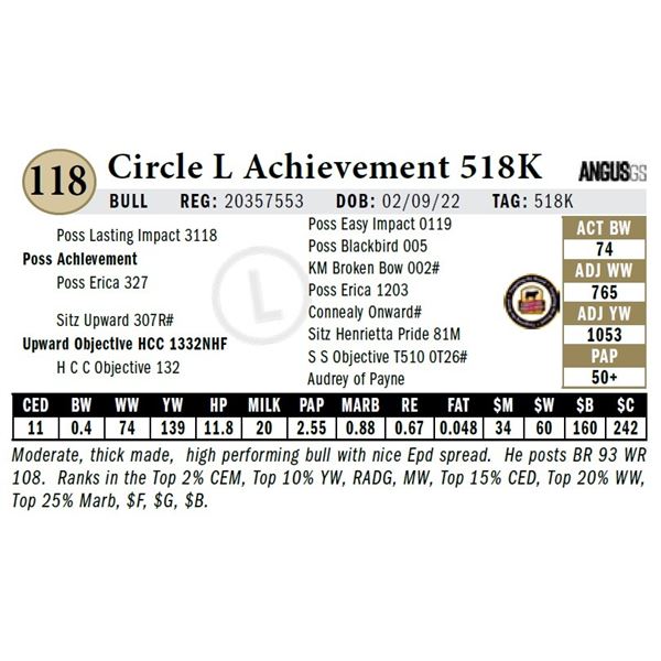 Circle L Achievement 518K