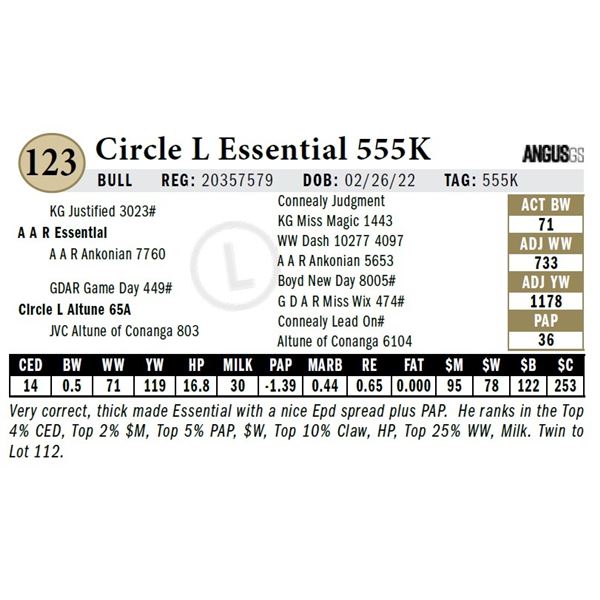 Circle L Essential 555K