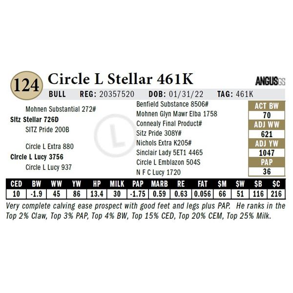 Circle L Stellar 461K