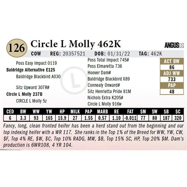 Circle L Molly 462K