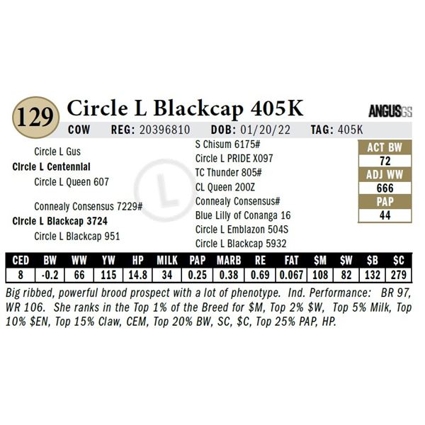 Circle L Blackcap 405K