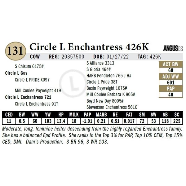Circle L Enchantress 426K