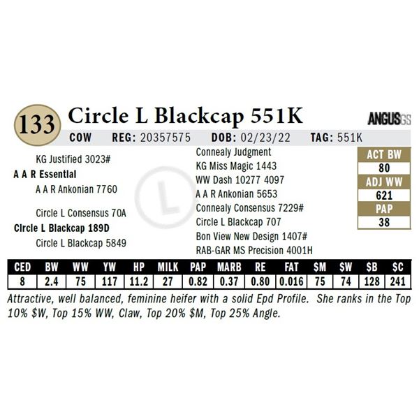 Circle L Blackcap 551K