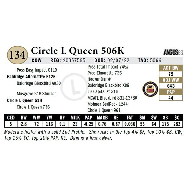 Circle L Queen 506K