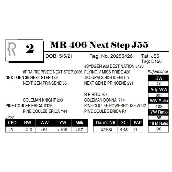 Mr 406 Form.pdf MR 406 Next Step J55