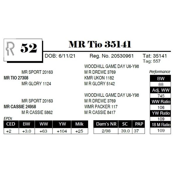 MR Tio 35141
