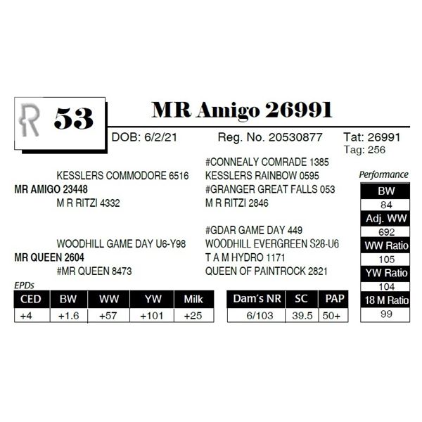 MR Amigo 26991