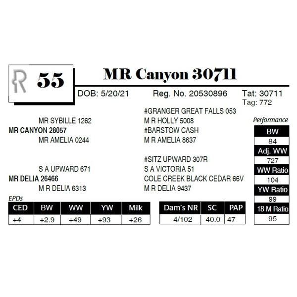 MR Canyon 30711