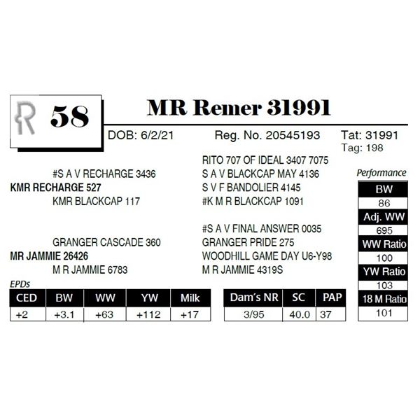 MR Remer 31991
