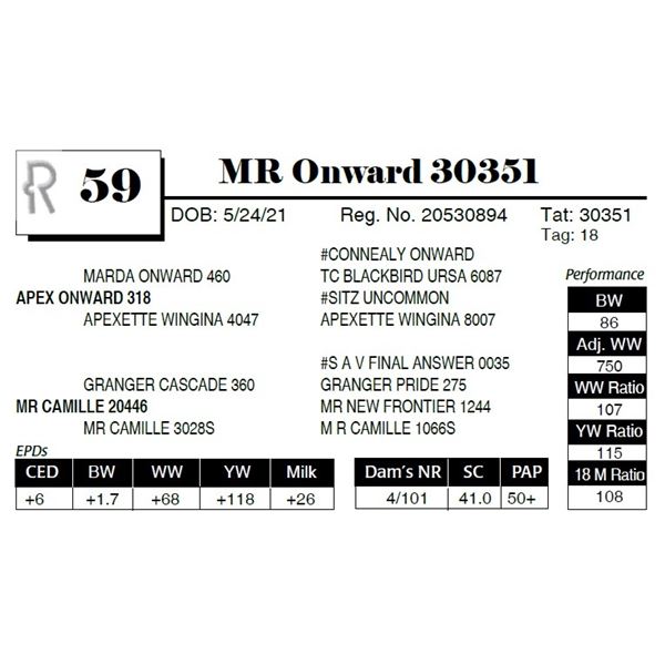 MR Onward 30351