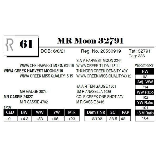 MR Moon 32791
