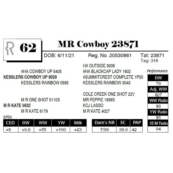 MR Cowboy 23871