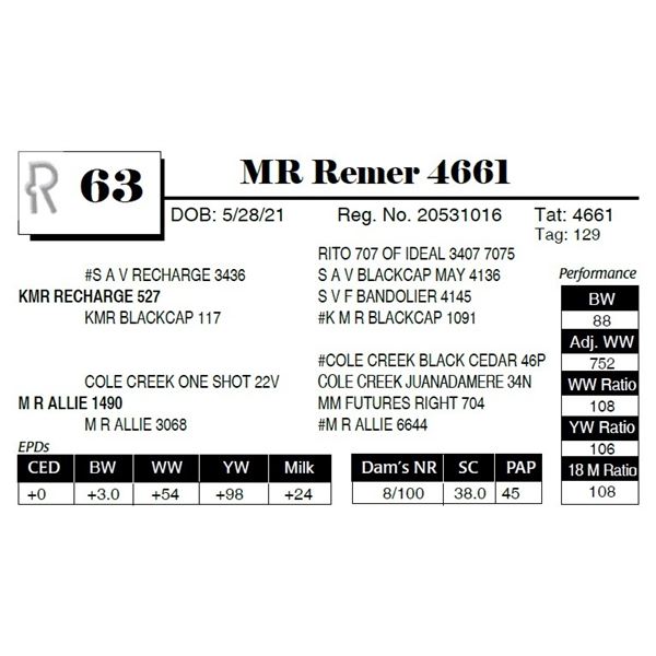 MR Remer 4661