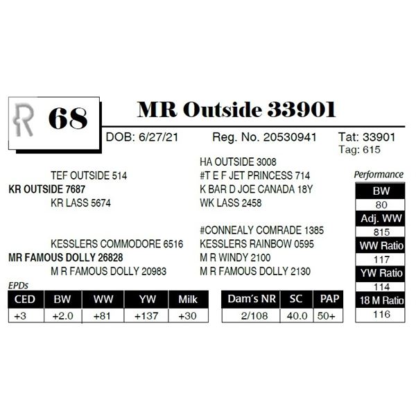 MR Outside 33901