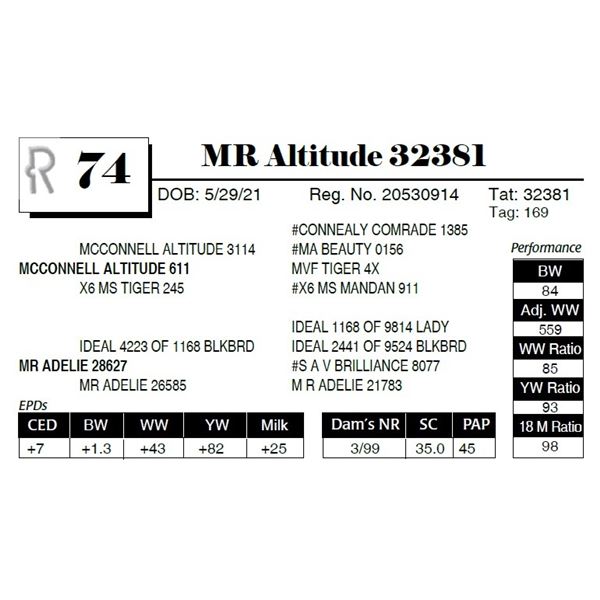 MR Altitude 32381