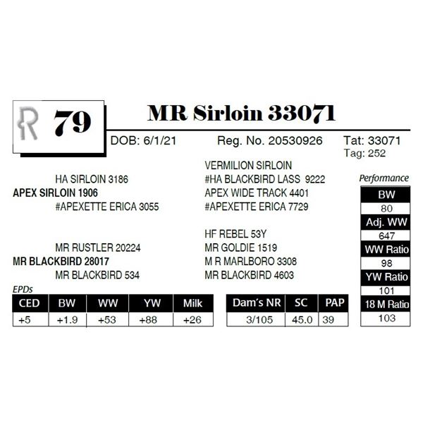 MR Sirloin 33071