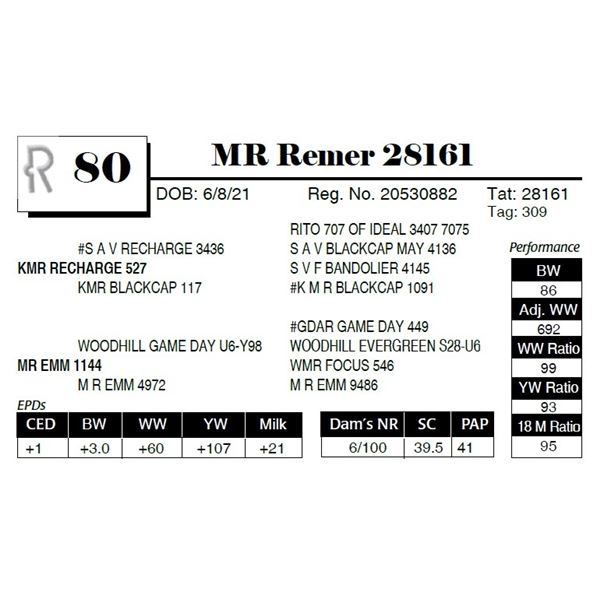 MR Remer 28161