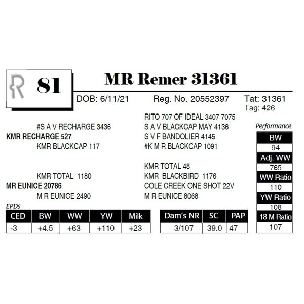 MR Remer 31361