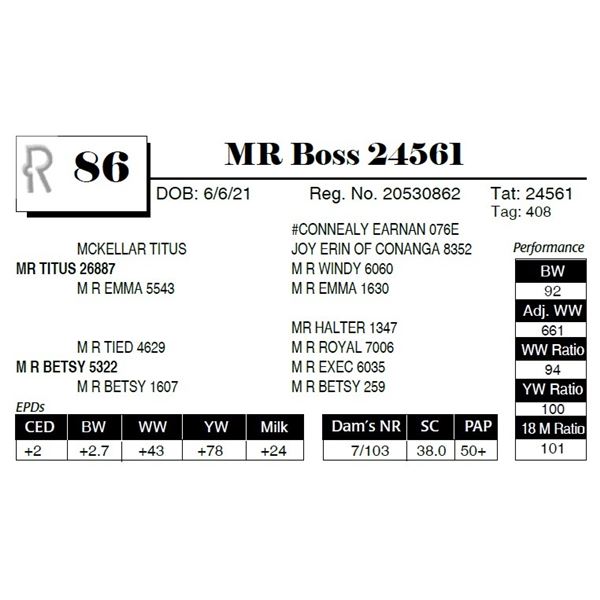 MR Boss 24561