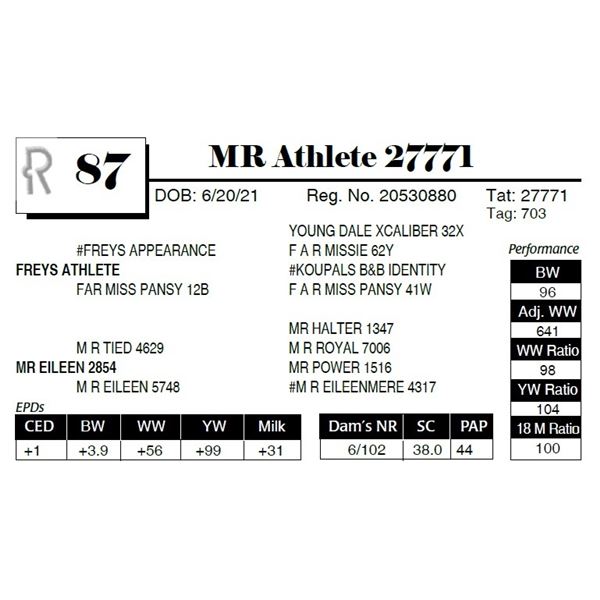 MR Athlete 27771