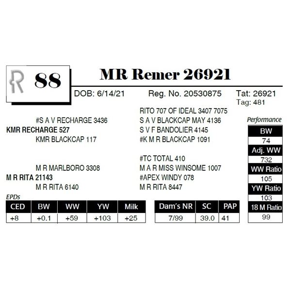 MR Remer 26921