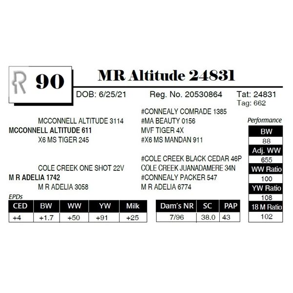 MR Altitude 24831