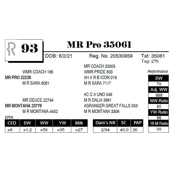 MR Pro 35061