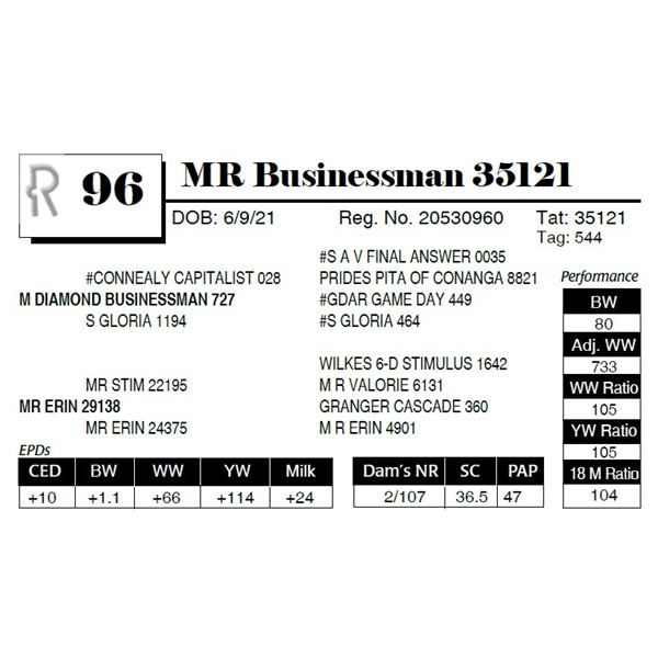 MR Businessman 35121