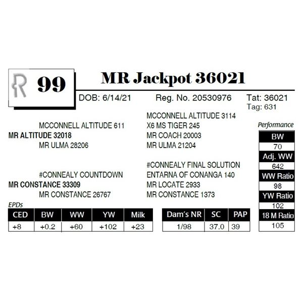 MR Jackpot 36021