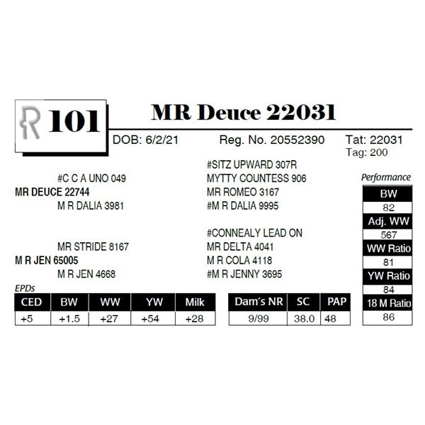 MR Deuce 22031