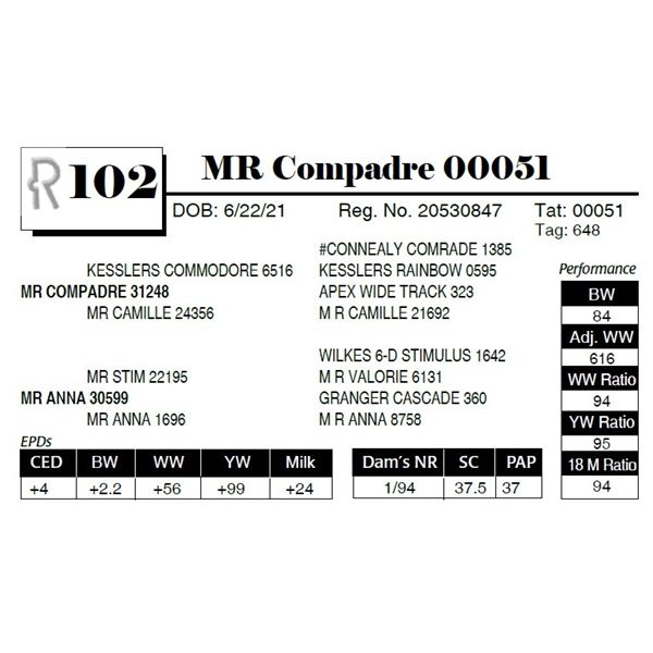 MR Compadre 00051
