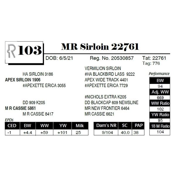 MR Sirloin 22761