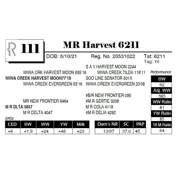 MR Harvest 6211