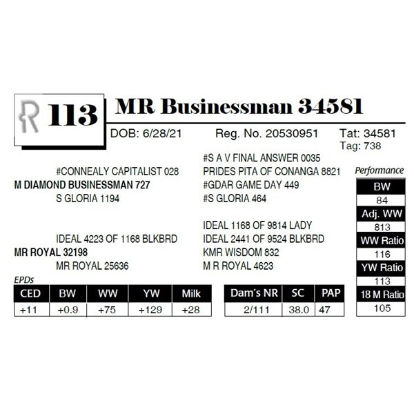 MR Businessman 34581