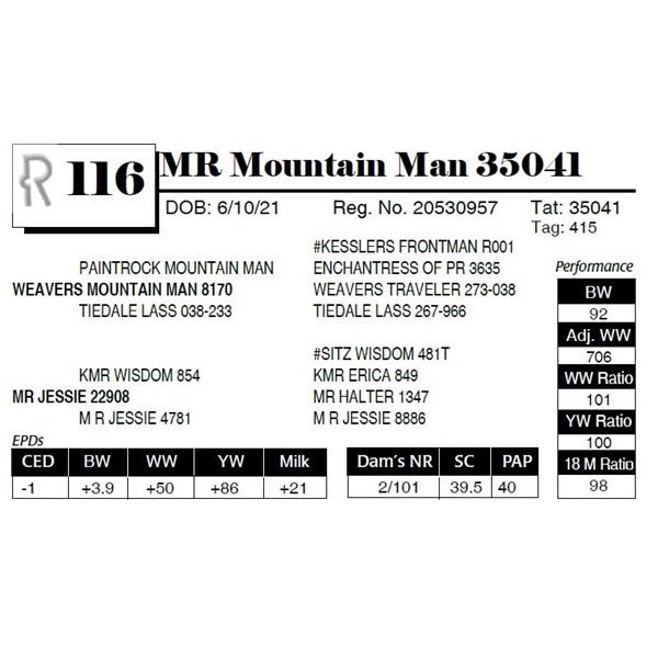 MR Mountain Man 35041