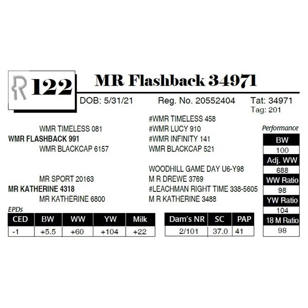 MR Flashback 34971