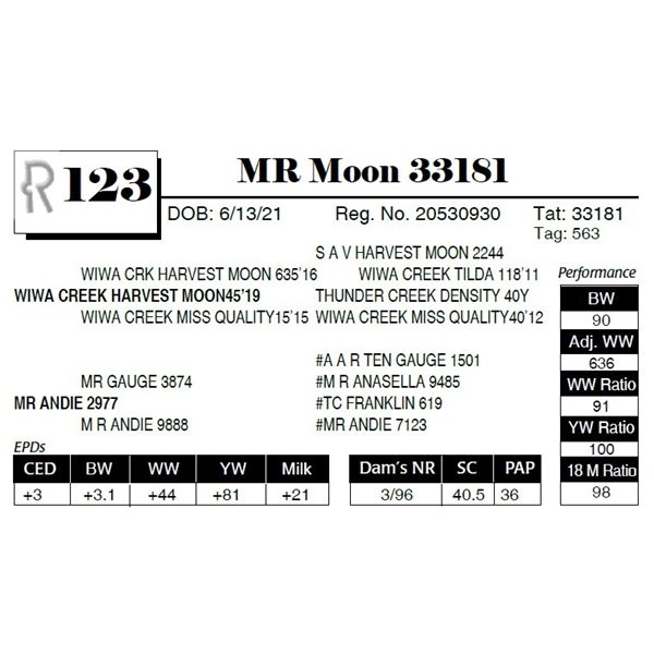 MR Moon 33181