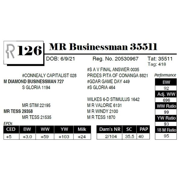 MR Businessman 35511