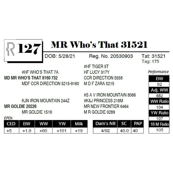 MR Who's That 31521