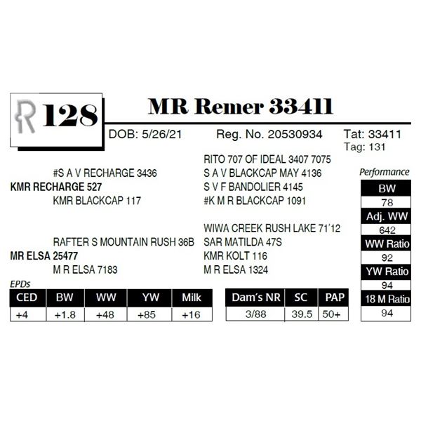 MR Remer 33411